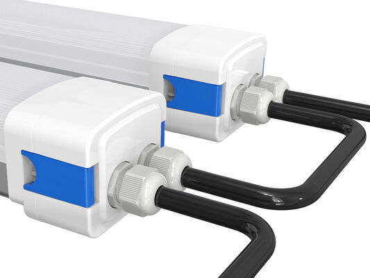 D5 LED 防湿ライト、DIPスイッチによる電力切替、3CCT、3/5*1.5/2.5mm2 配線貫通オプション