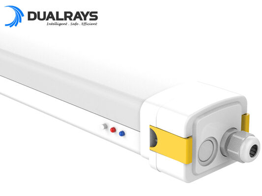 DUALRAYS ヨーロッパ ストッキング LED ハイベイ 荷物 地元の販売後サービスで 3 営業日以内にオランダから直接