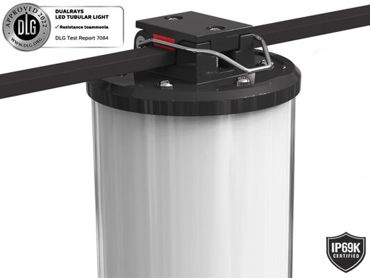 Dualrays D2シリーズ50Wは屋外および屋内LEDの三証拠LEDライト160LMW 5ftに長く当て木をする