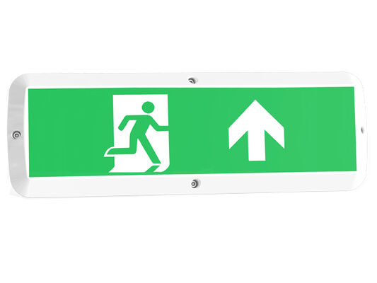 緊急機能と運動センサー IP65 と 8W バルクヘッド LED 玄関灯