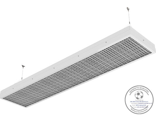 フットボール裁判所のためのDualrays F5シリーズLEDフラッドライト750W IP66 IK10の保護Effficiency IP66の高い発電のRoHSのセリウムCert