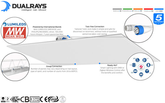 薄暗くなる屋内および屋外IP66 IK10の多数のビーム天使1-10VのためのDualrays F5シリーズ250W LED洪水ライト