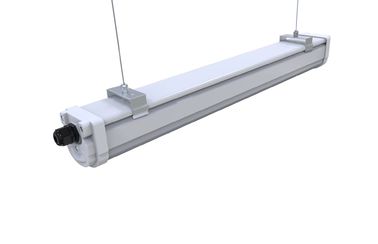 Dualrays D2シリーズ2ft 20W任意プラスチック収容LED三証拠ライトIP65 Intellegent制御
