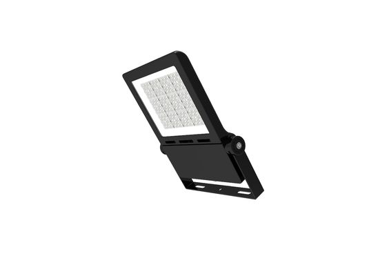 Meanwellの運転者300W 150lm/W LEDは5年のフラッドライトをセリウムROHSの証明の保証遊ばす