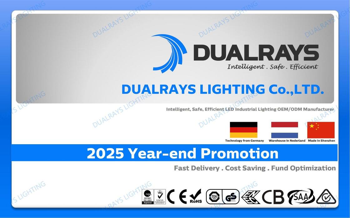 DUALRAYS ヨーロッパ ストッキング LED ハイベイ 荷物 地元の販売後サービスで 3 営業日以内にオランダから直接
