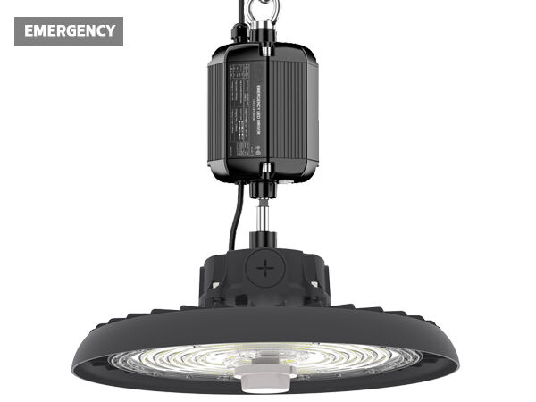 HB3 DIP 切り替え可能電源および 3CCT UFO LED ハイベイ ライト 190LPW ヨーロッパ倉庫在庫 30W@3 時間の緊急機能付き (オプション)